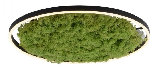 LED Deckenleuchte, echtes Islandmoos, schallabsorbierend