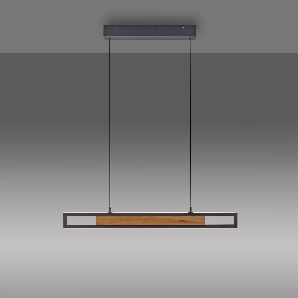 LED Pendelleuchte, Fernbedienung, CCT, Lift
