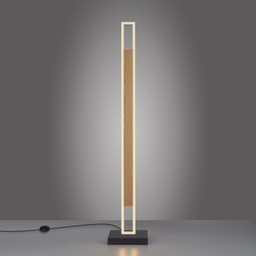 LED Stehl., Fernbedienung, CCT, Memory, Fußschalter
