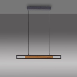 LED Pendelleuchte, Fernbedienung, CCT, Lift